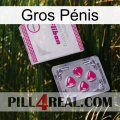Gros Pénis 32